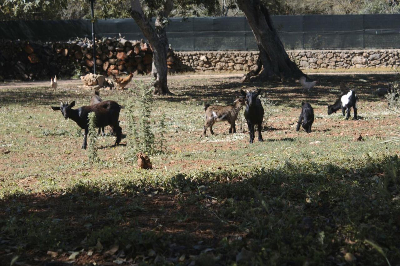 Tenuta Ferraro Gallipoli Bagian luar foto