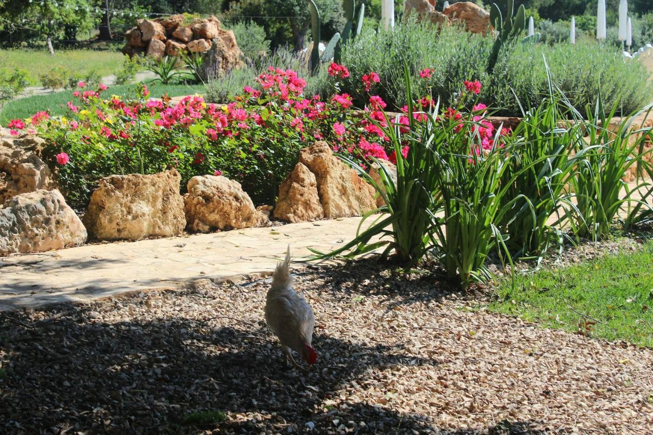 Tenuta Ferraro Gallipoli Bagian luar foto