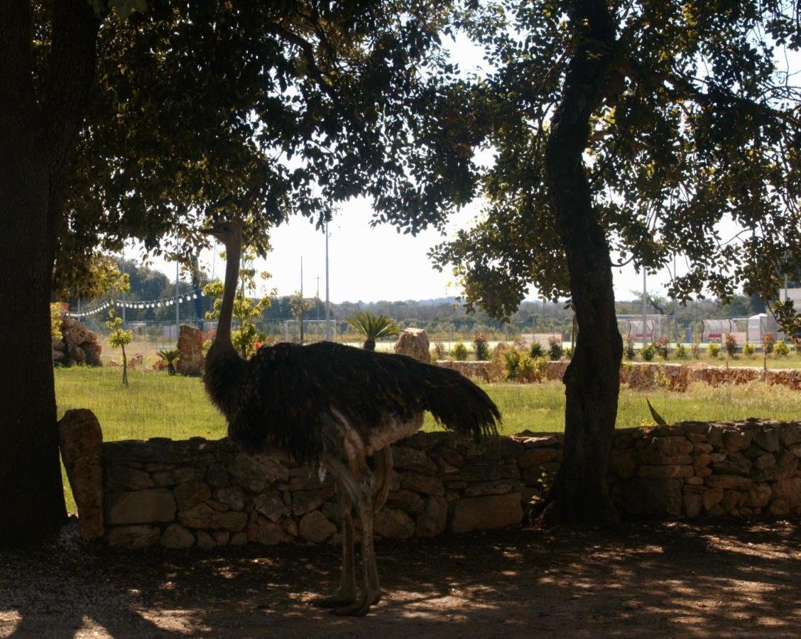 Tenuta Ferraro Gallipoli Bagian luar foto