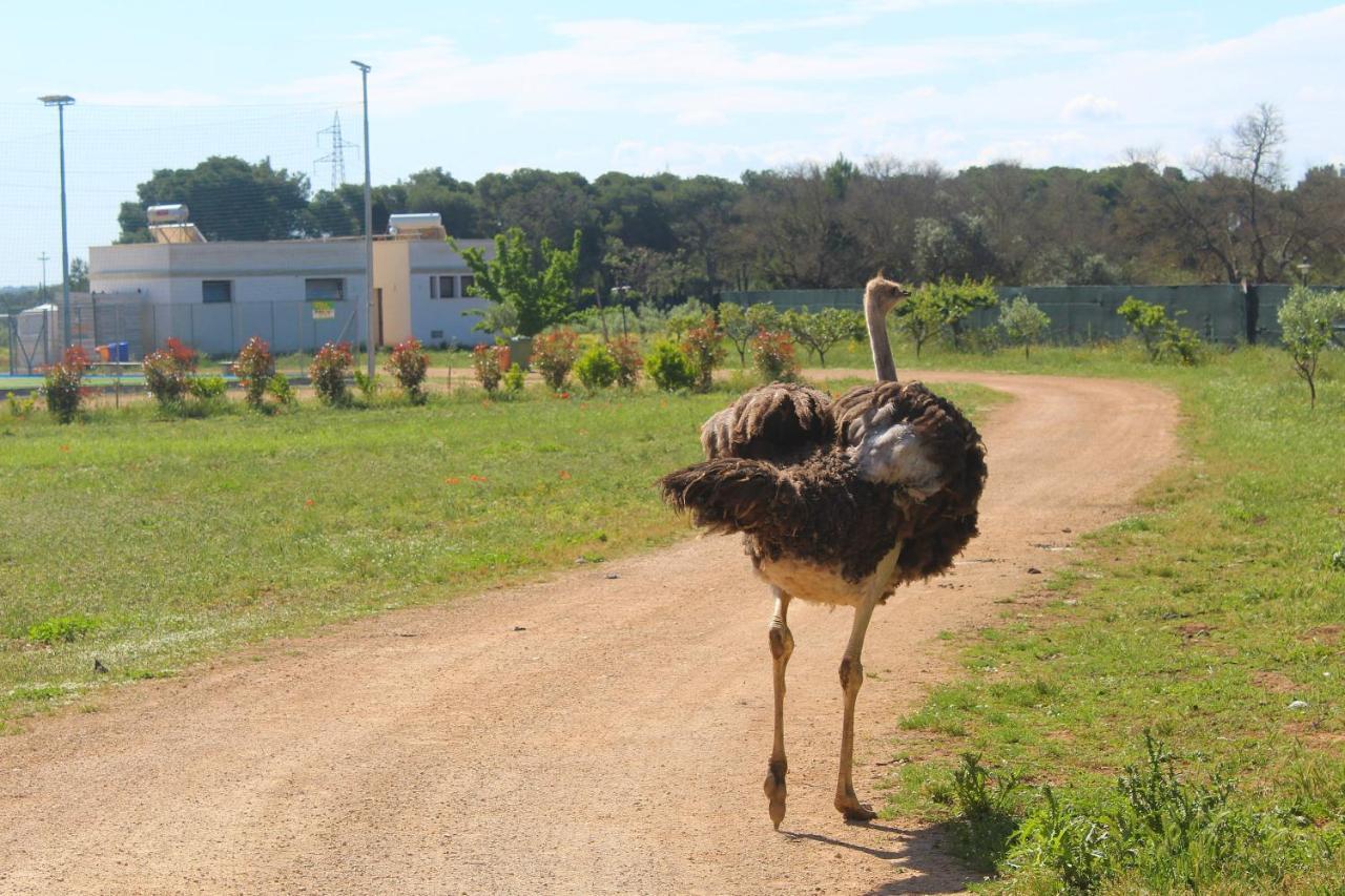 Tenuta Ferraro Gallipoli Bagian luar foto