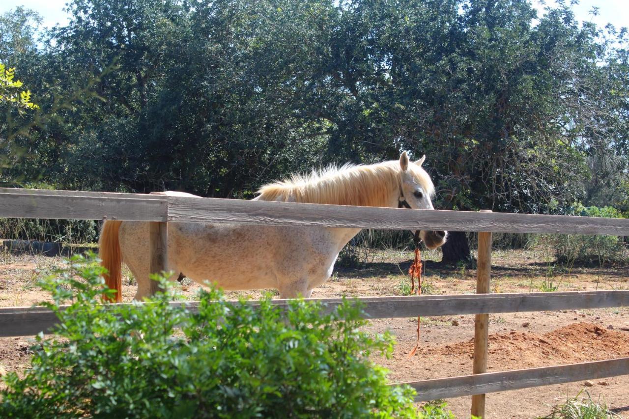 Tenuta Ferraro Gallipoli Bagian luar foto