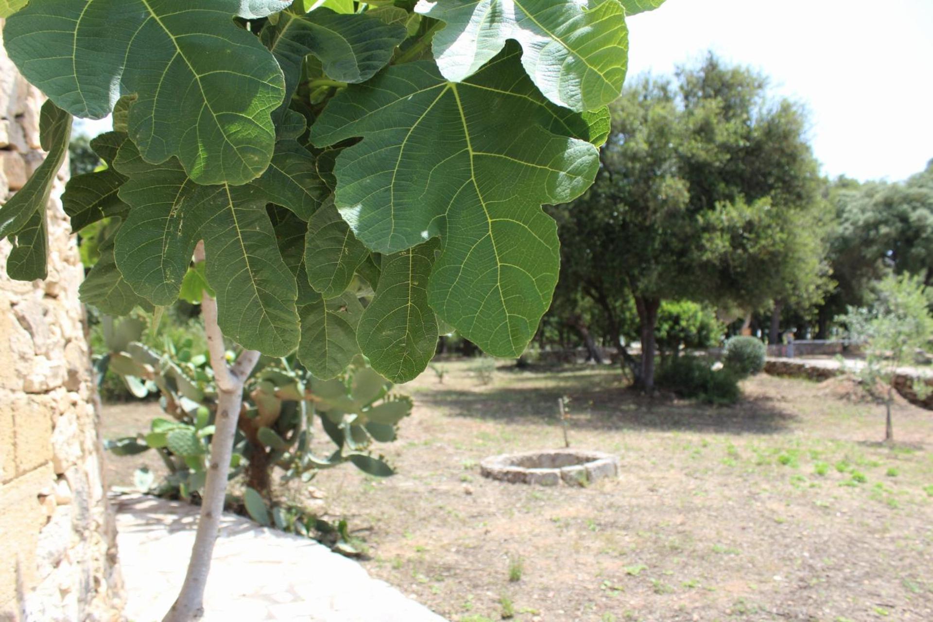 Tenuta Ferraro Gallipoli Bagian luar foto