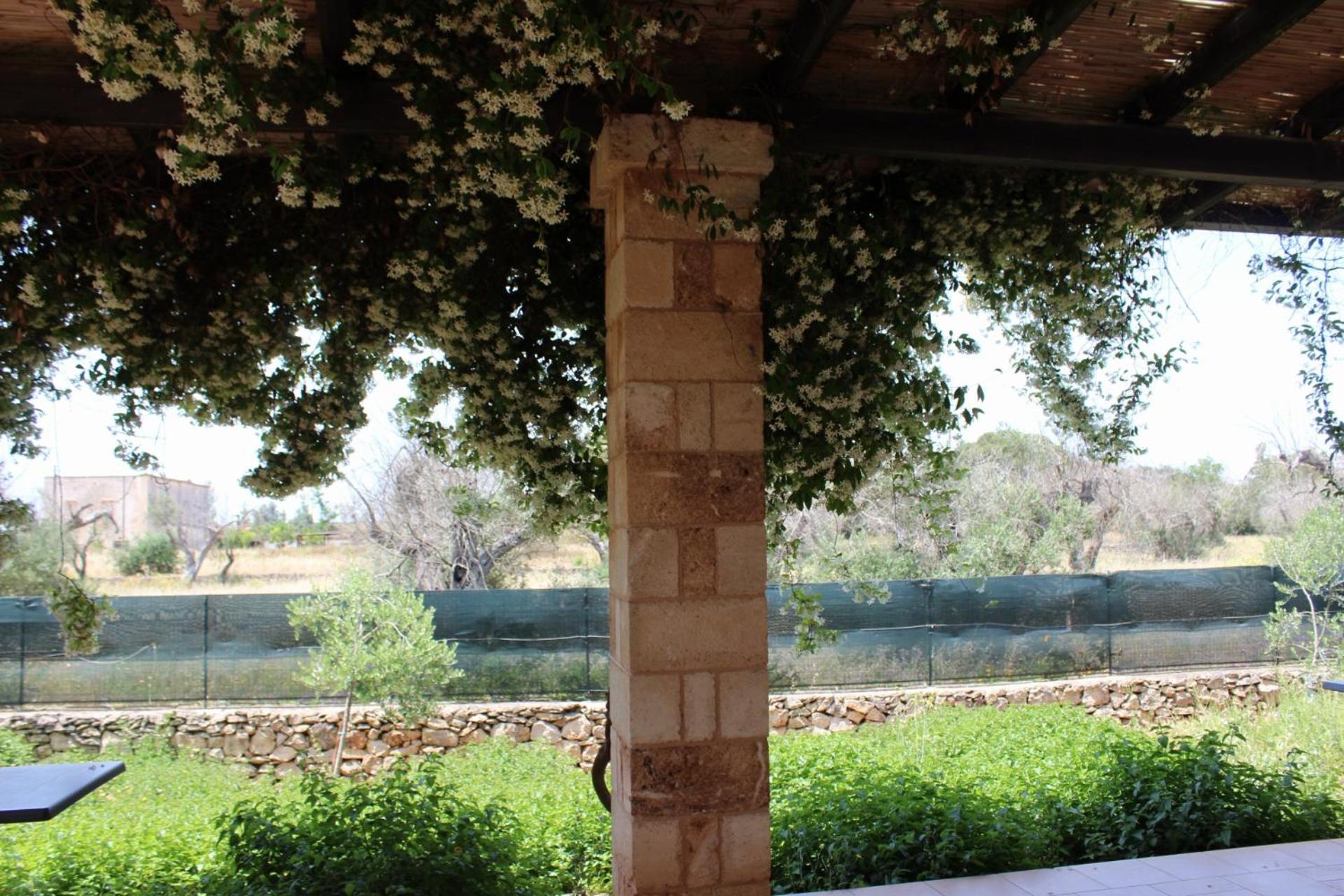 Tenuta Ferraro Gallipoli Bagian luar foto