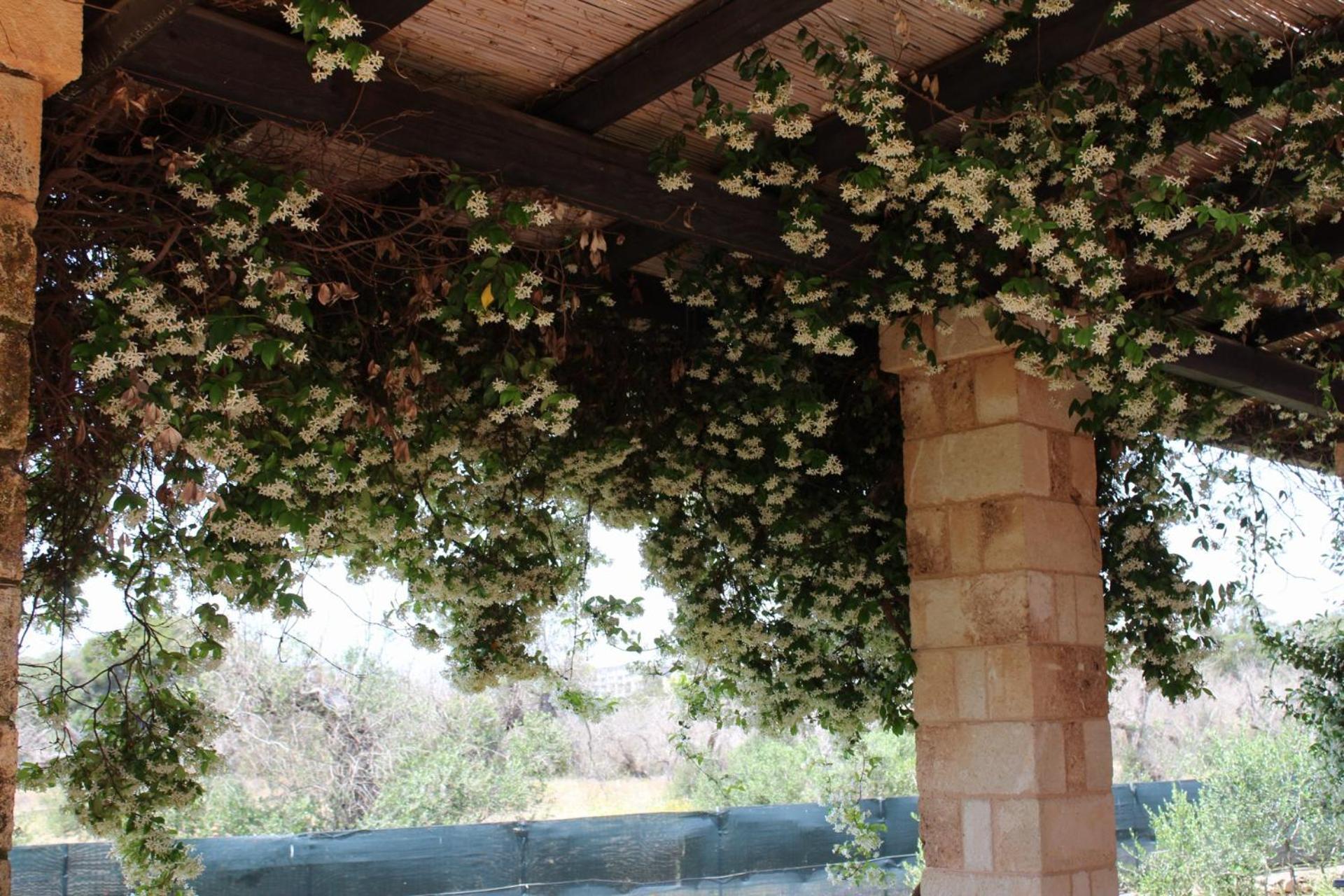 Tenuta Ferraro Gallipoli Bagian luar foto